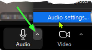 Audio Settings 2.png